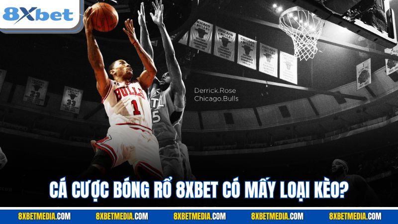 Cá cược bóng rổ 8XBET có mấy loại kèo?