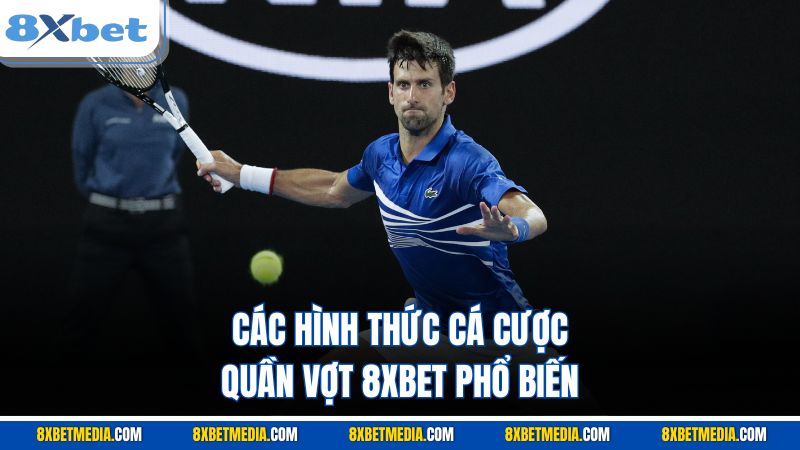 Các hình thức cá cược quần vợt 8XBET phổ biến