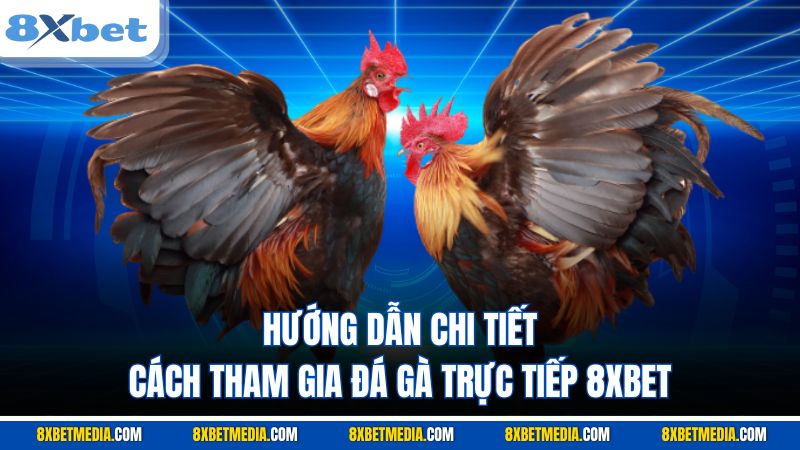 Hướng dẫn chi tiết cách tham gia đá gà trực tiếp 8XBET