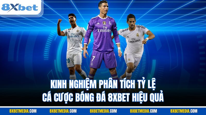 Kinh nghiệm phân tích tỷ lệ cá cược bóng đá 8XBET hiệu quả