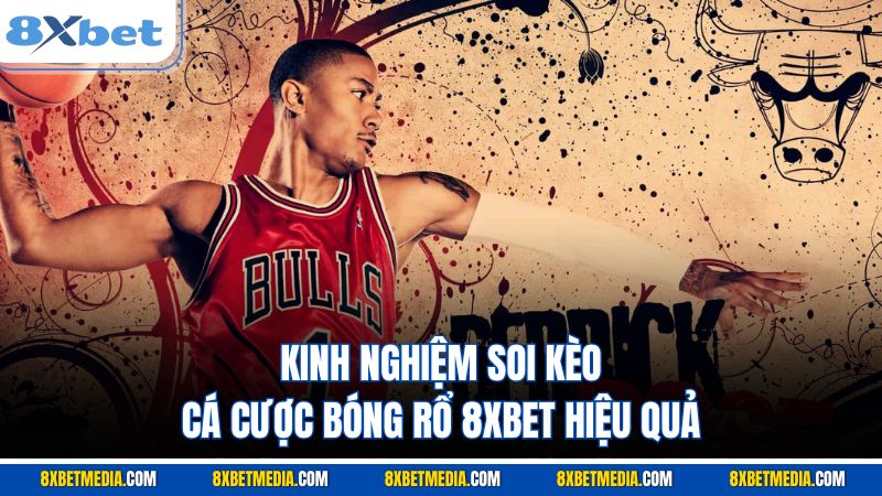 Kinh nghiệm soi kèo cá cược bóng rổ 8XBET hiệu quả