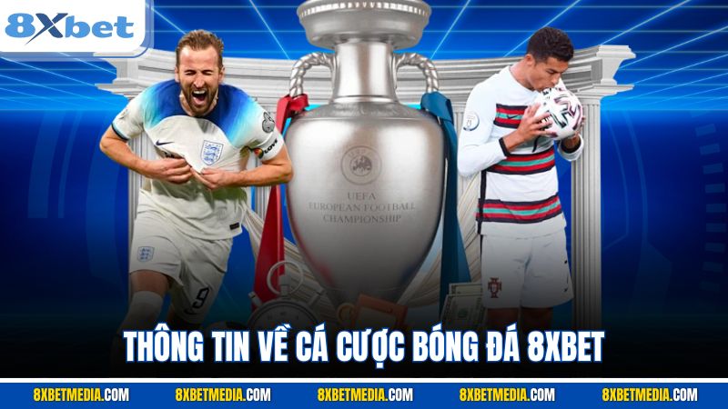 Thông tin về cá cược bóng đá 8XBET